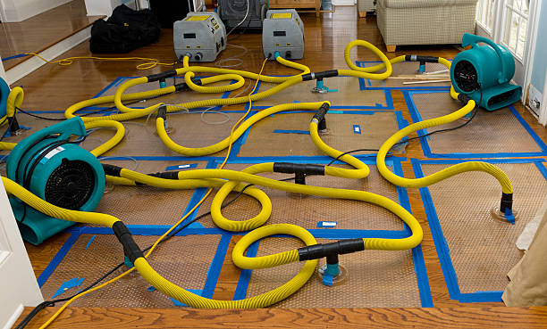 Professional Water Damage Restoration technician working in New London, IA