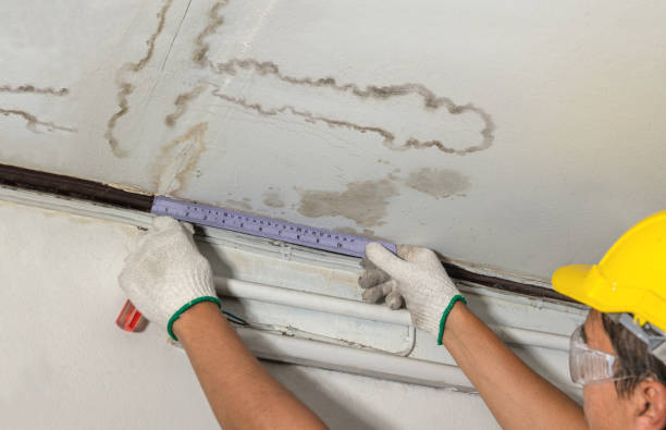 Affordable Water Damage Repair solutions in New London, IA